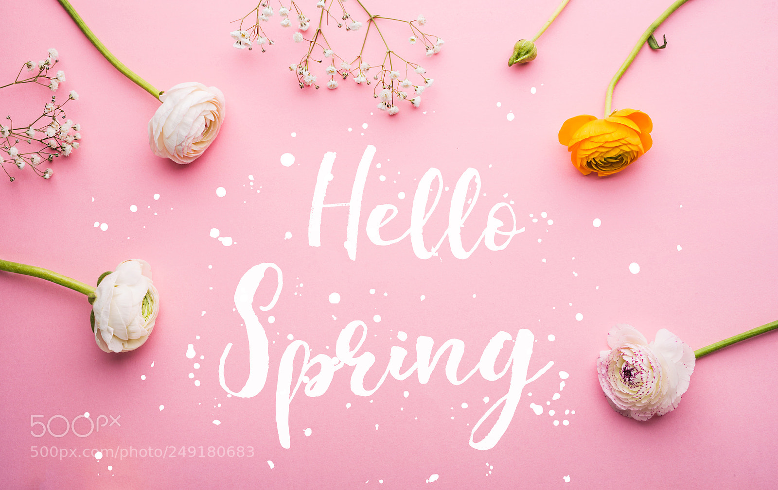 Nikon D800 sample photo. Hello spring phrase and photography