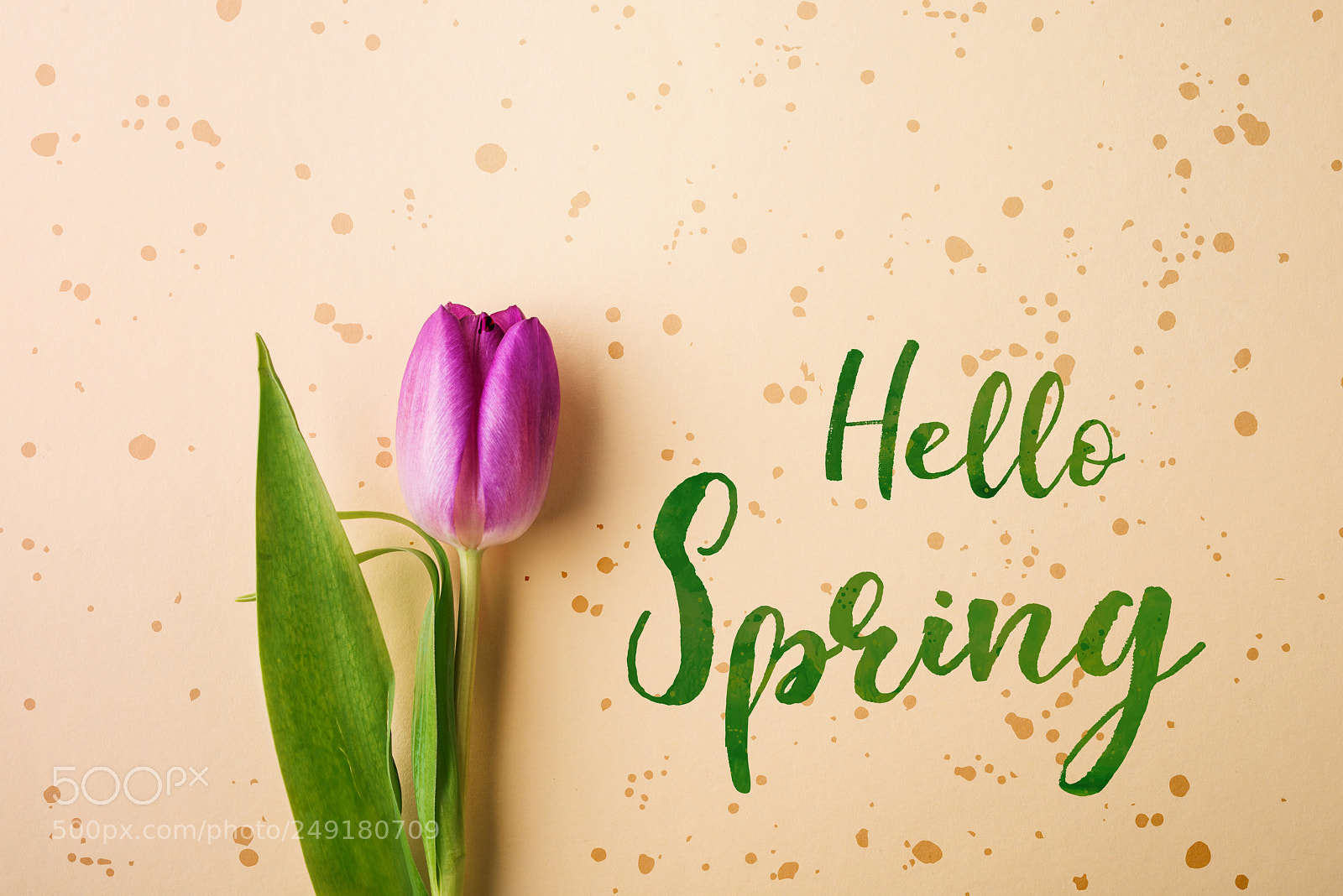 Nikon D800 sample photo. Hello spring phrase and photography