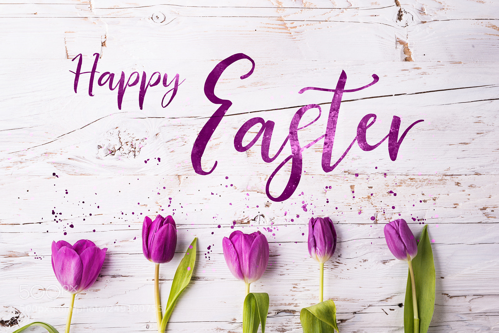 Nikon D800 sample photo. Easter and spring flat photography