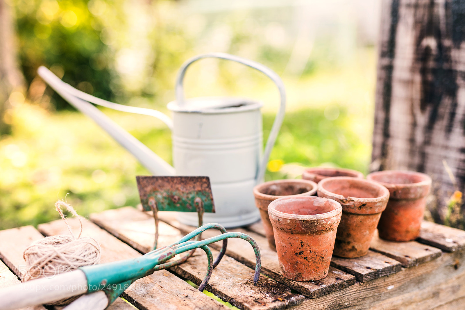 Nikon D5 sample photo. Garden tools and flower photography