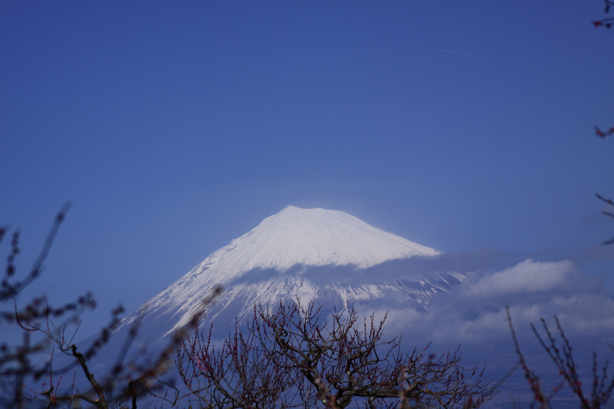 Canon EOS 50D + Canon EF 28-135mm F3.5-5.6 IS USM sample photo. Iwamoto mountain park photography