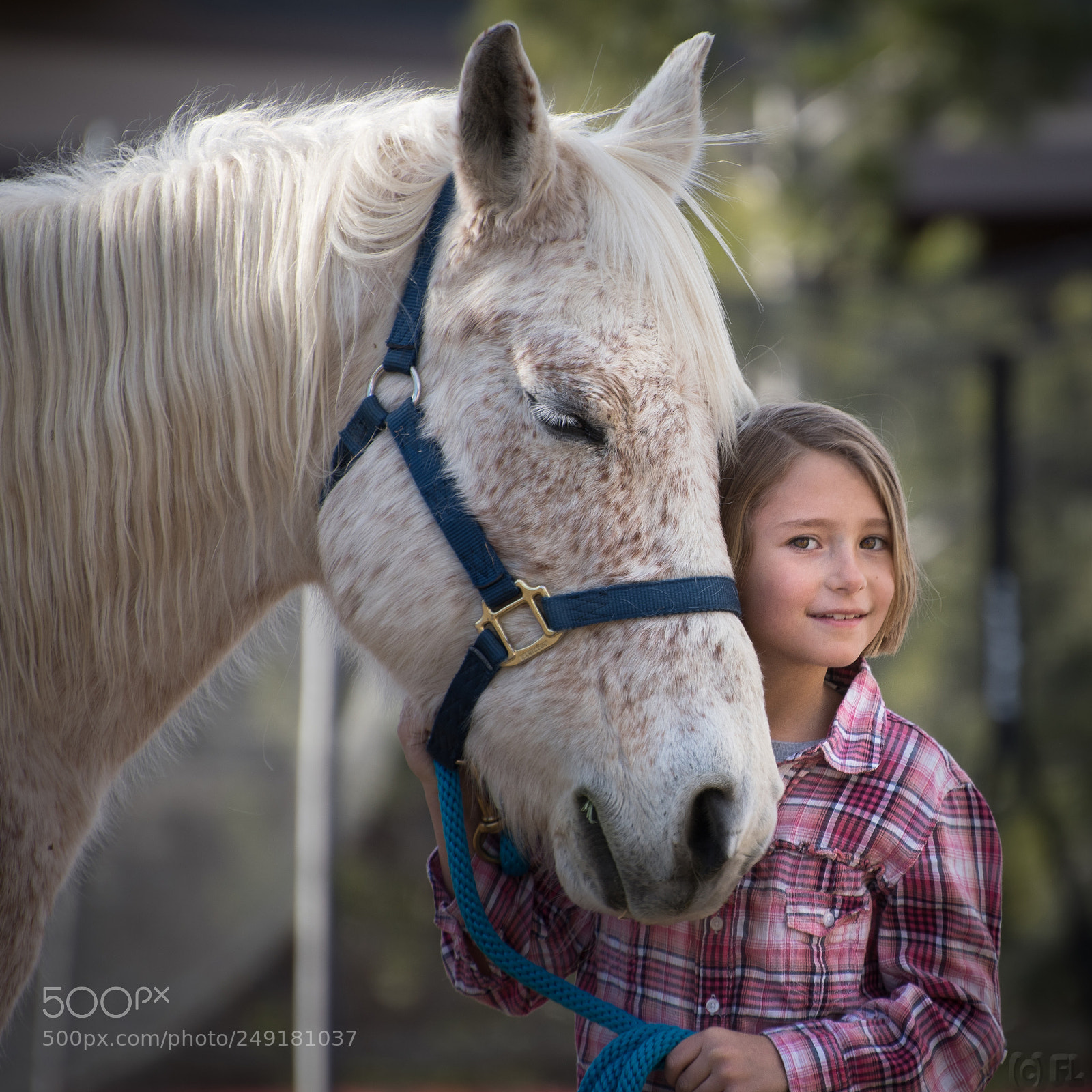 Nikon D7500 sample photo. Friends photography