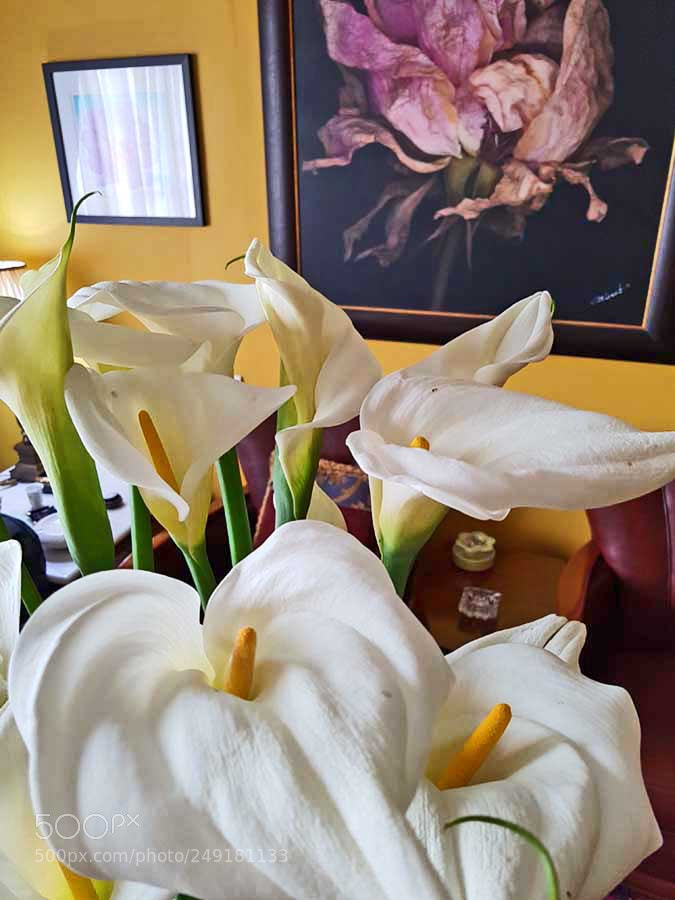 Samsung Galaxy S7 sample photo. Aromes web photography