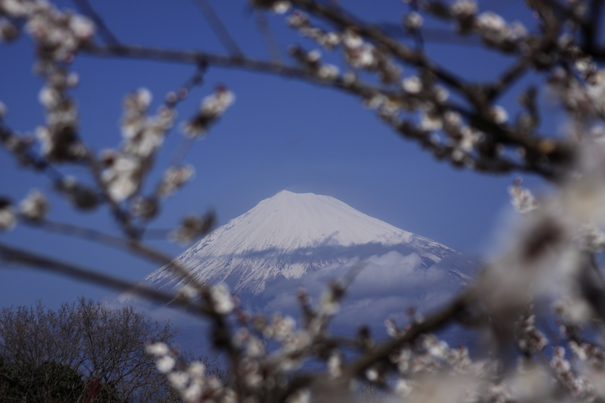 Canon EF 28-135mm F3.5-5.6 IS USM sample photo. Iwamoto mountain park photography