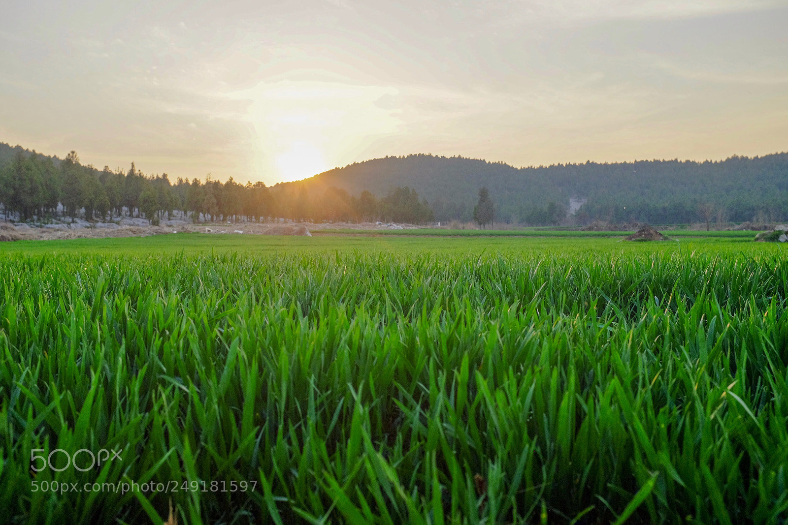 Fujifilm X100S sample photo. Untitled photography