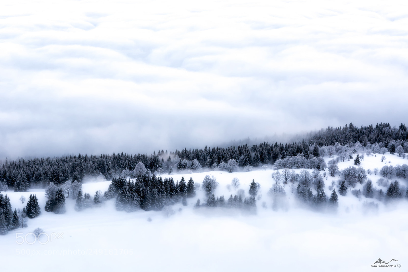 Nikon D5200 sample photo. The sea of clouds photography