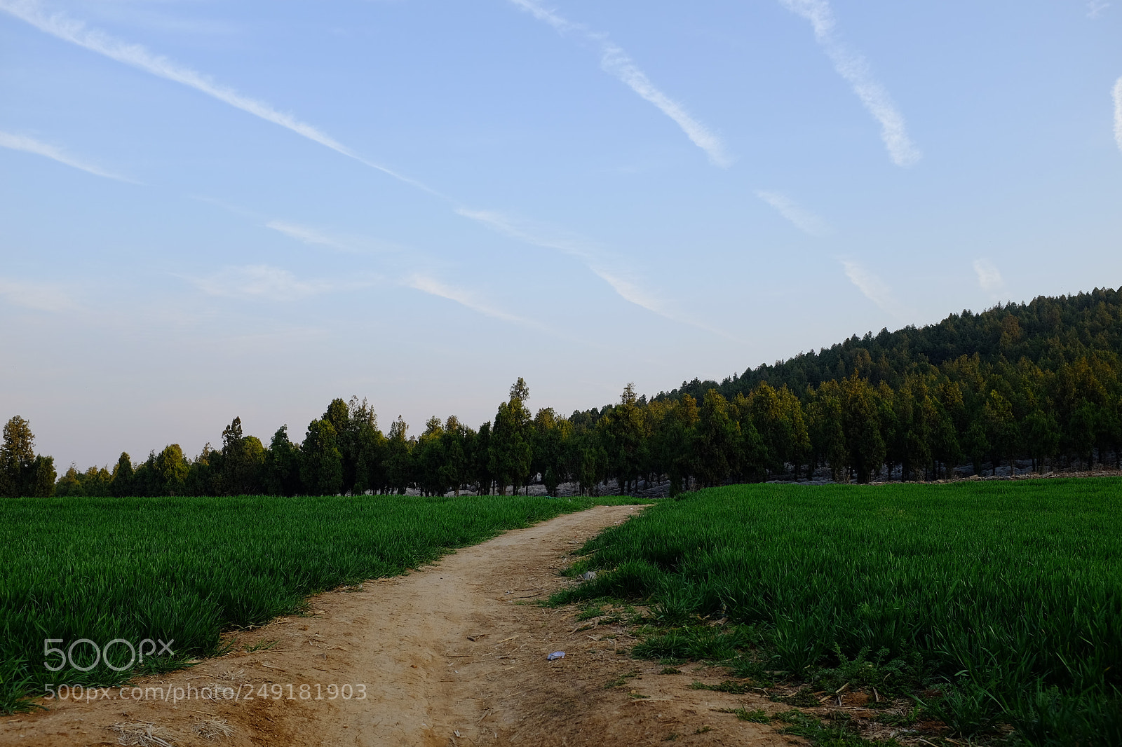 Fujifilm X100S sample photo. Untitled photography