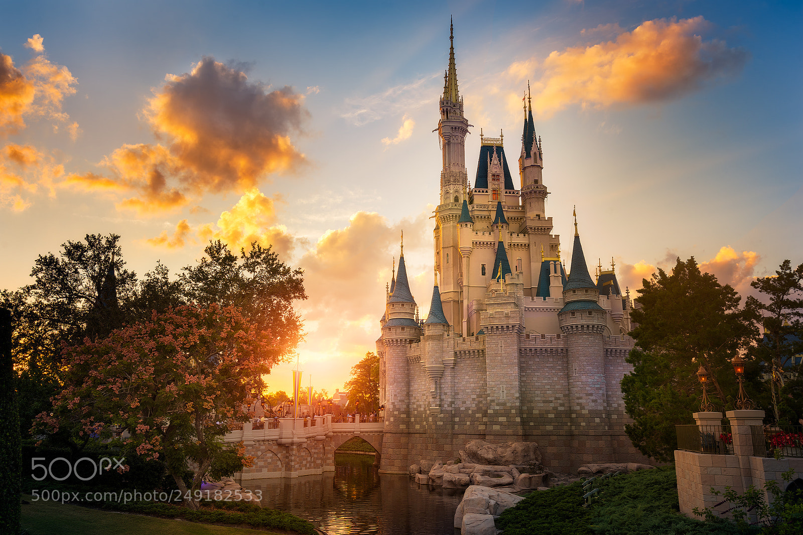 Nikon D810 sample photo. A prime magic kingdom photography