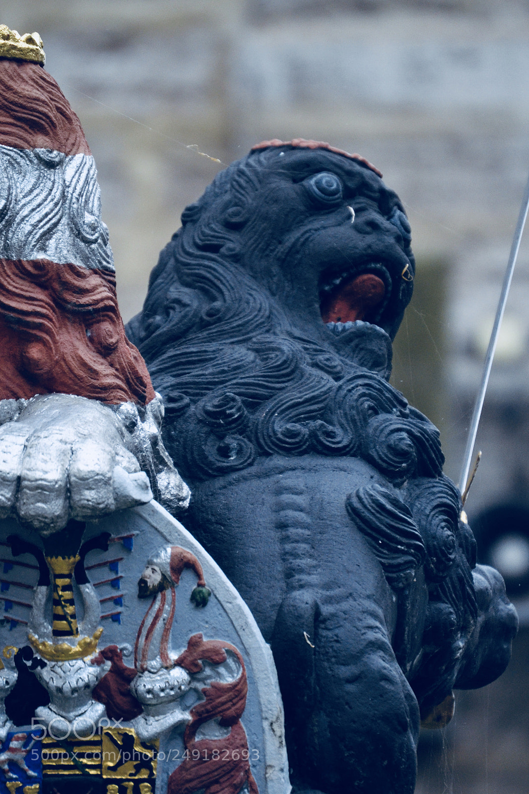Nikon D3100 sample photo. Screaming lion photography