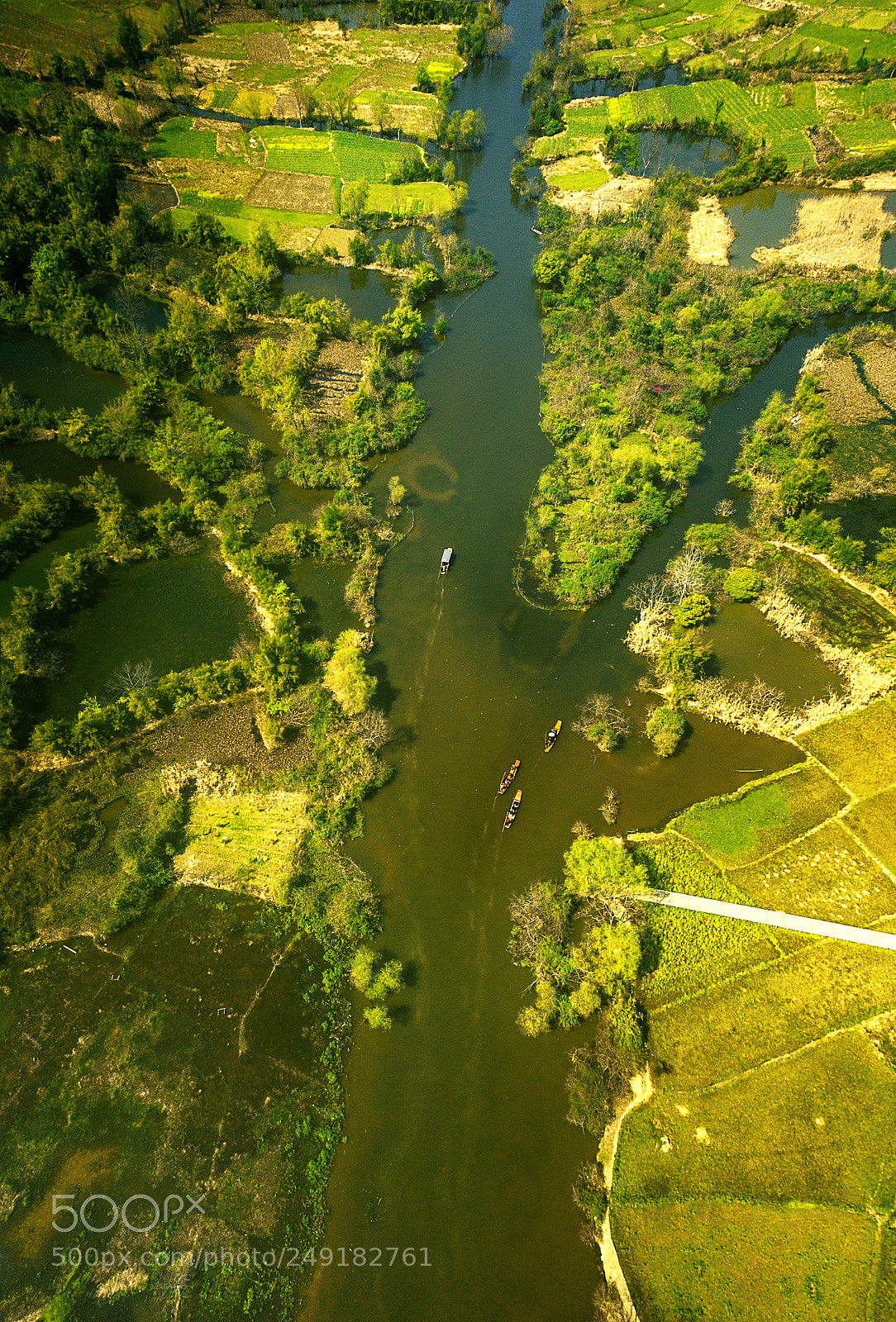 DJI FC220 sample photo. 湿地 photography
