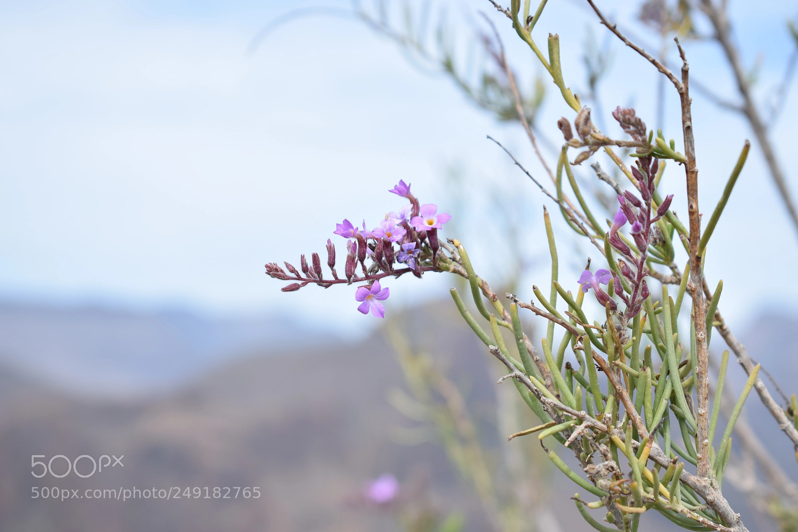 Nikon D3300 sample photo. Gran canaria photography
