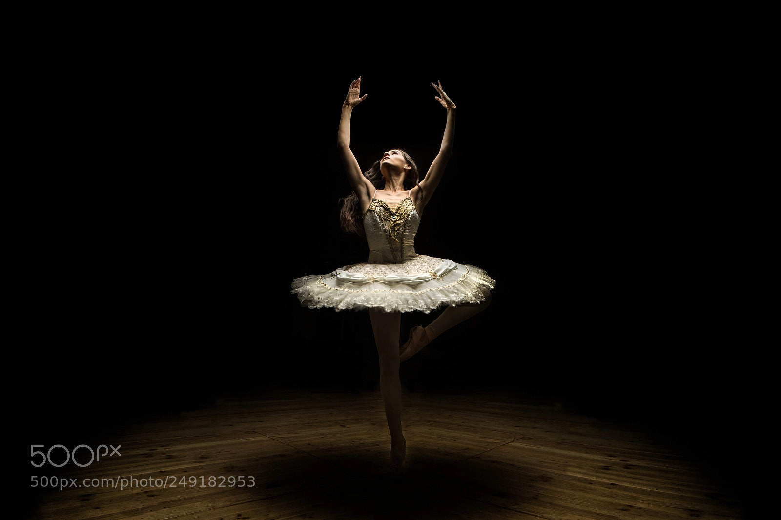Canon EOS 5D Mark IV sample photo. Roxane ballet dancer photography