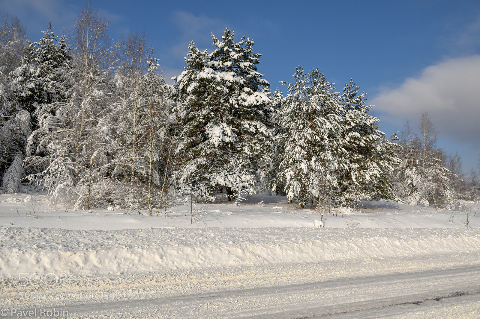 Nikon D810 sample photo. Winter roadside photography