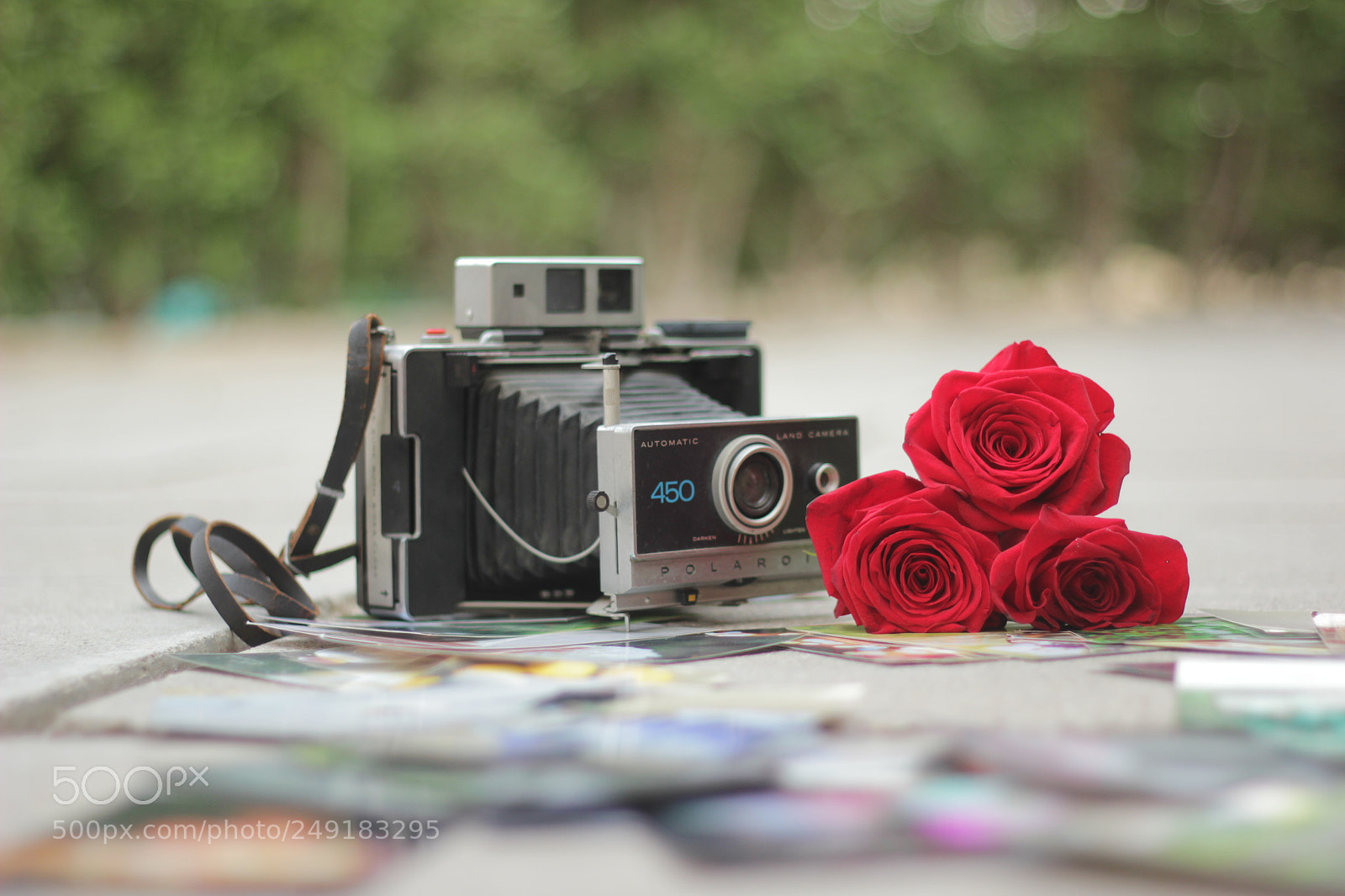 Canon EOS 550D (EOS Rebel T2i / EOS Kiss X4) + Canon EF 50mm F1.8 II sample photo. Love. photography