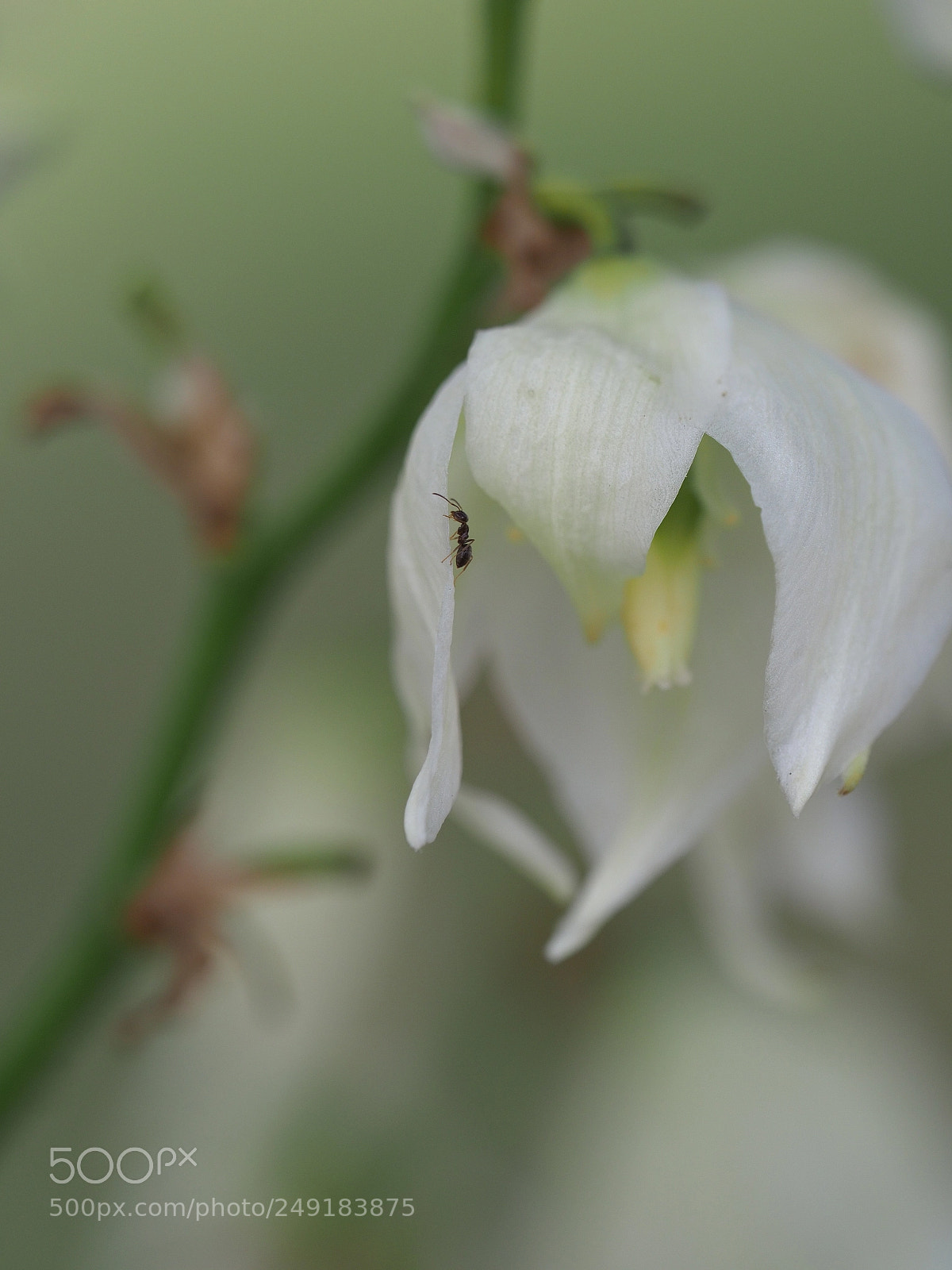 Olympus OM-D E-M1 Mark II sample photo. Untitled photography