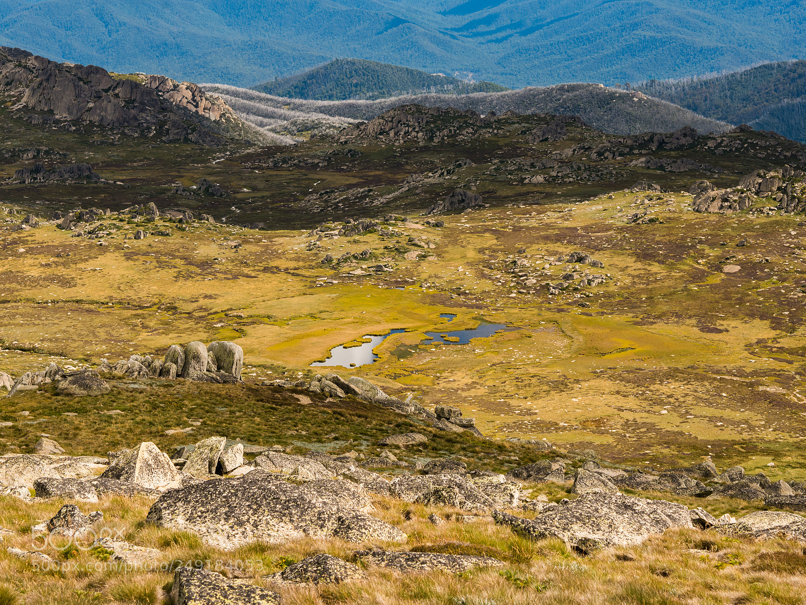 Panasonic Lumix DMC-GX7 sample photo. Jewels of kosciuszko national photography