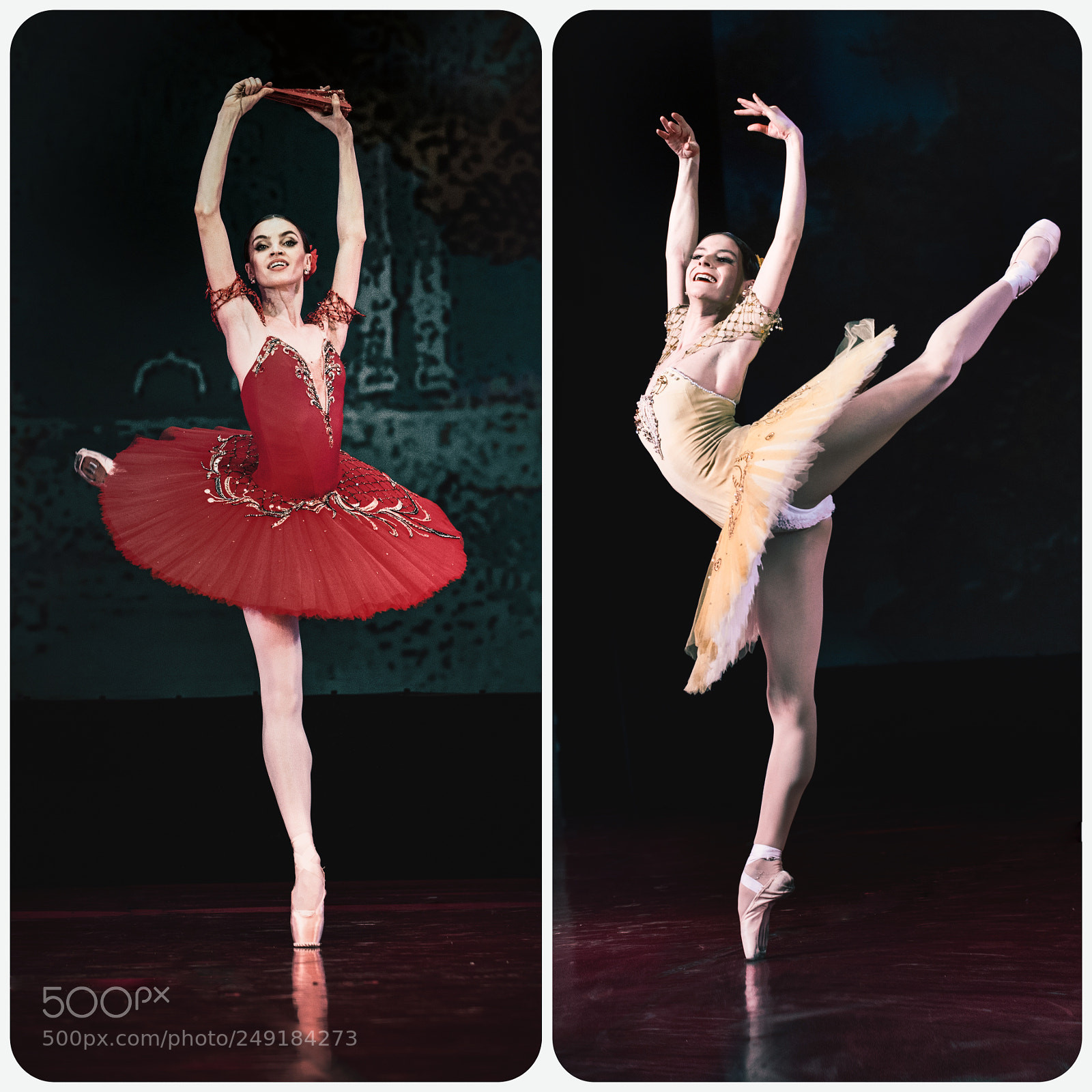 Nikon D810 sample photo. Untitled photography