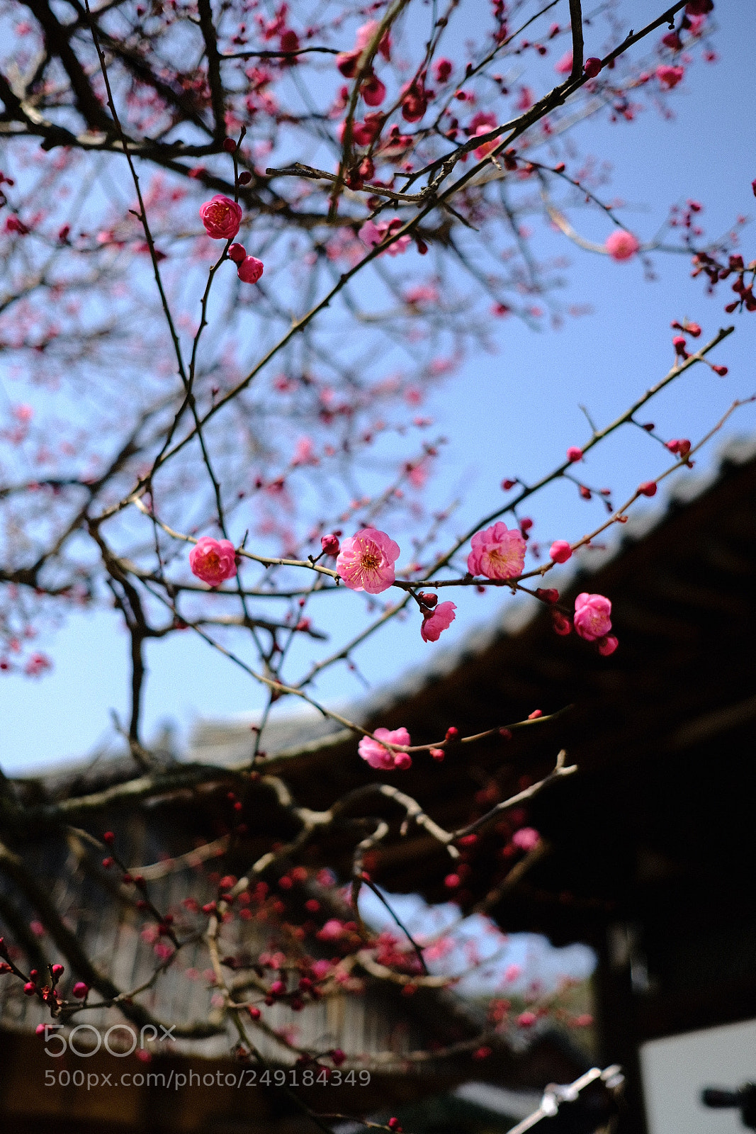 Fujifilm X-Pro2 sample photo. Untitled photography
