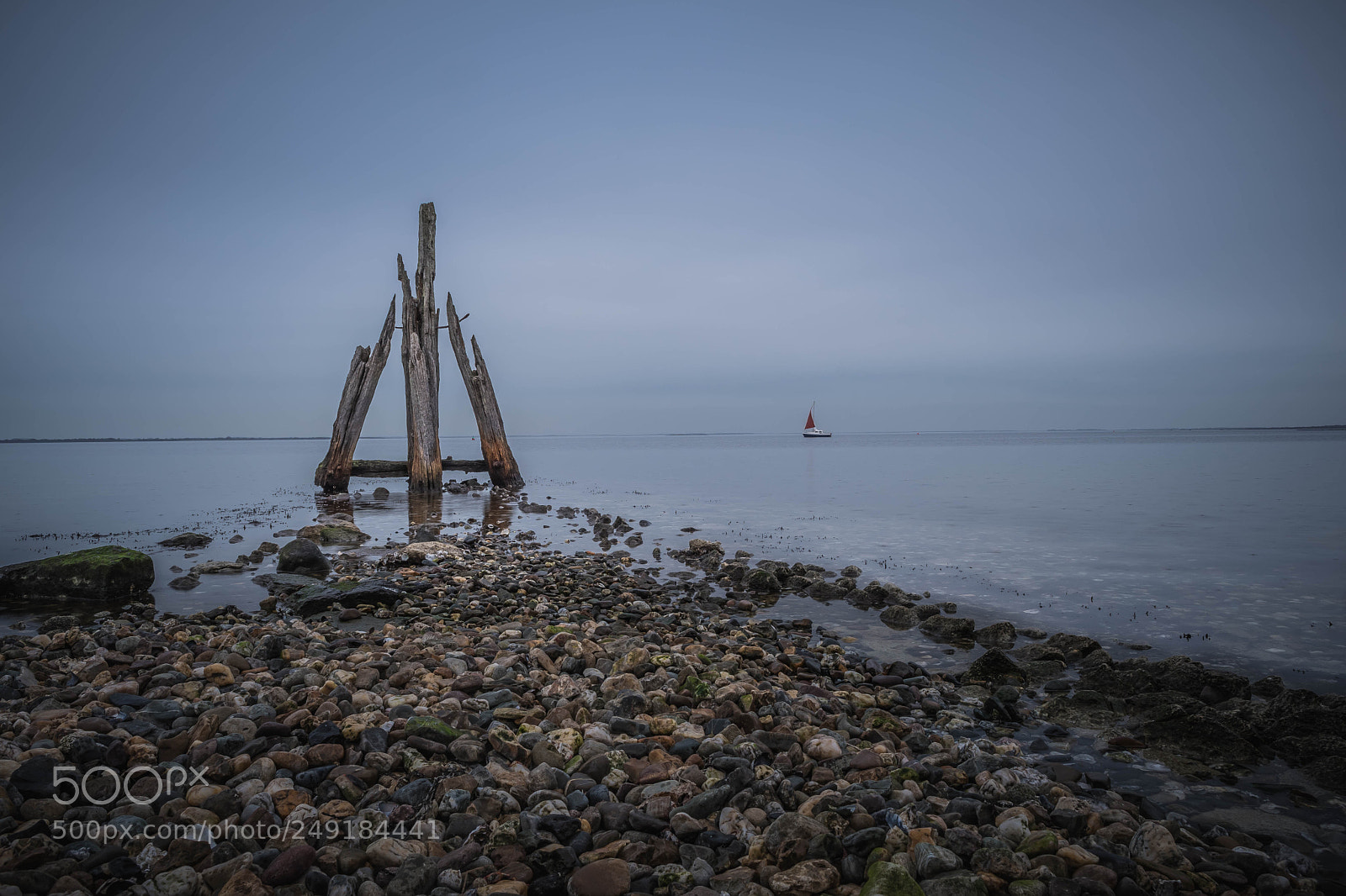 Nikon D500 sample photo. Afternoon at grevelingenmeer, the photography
