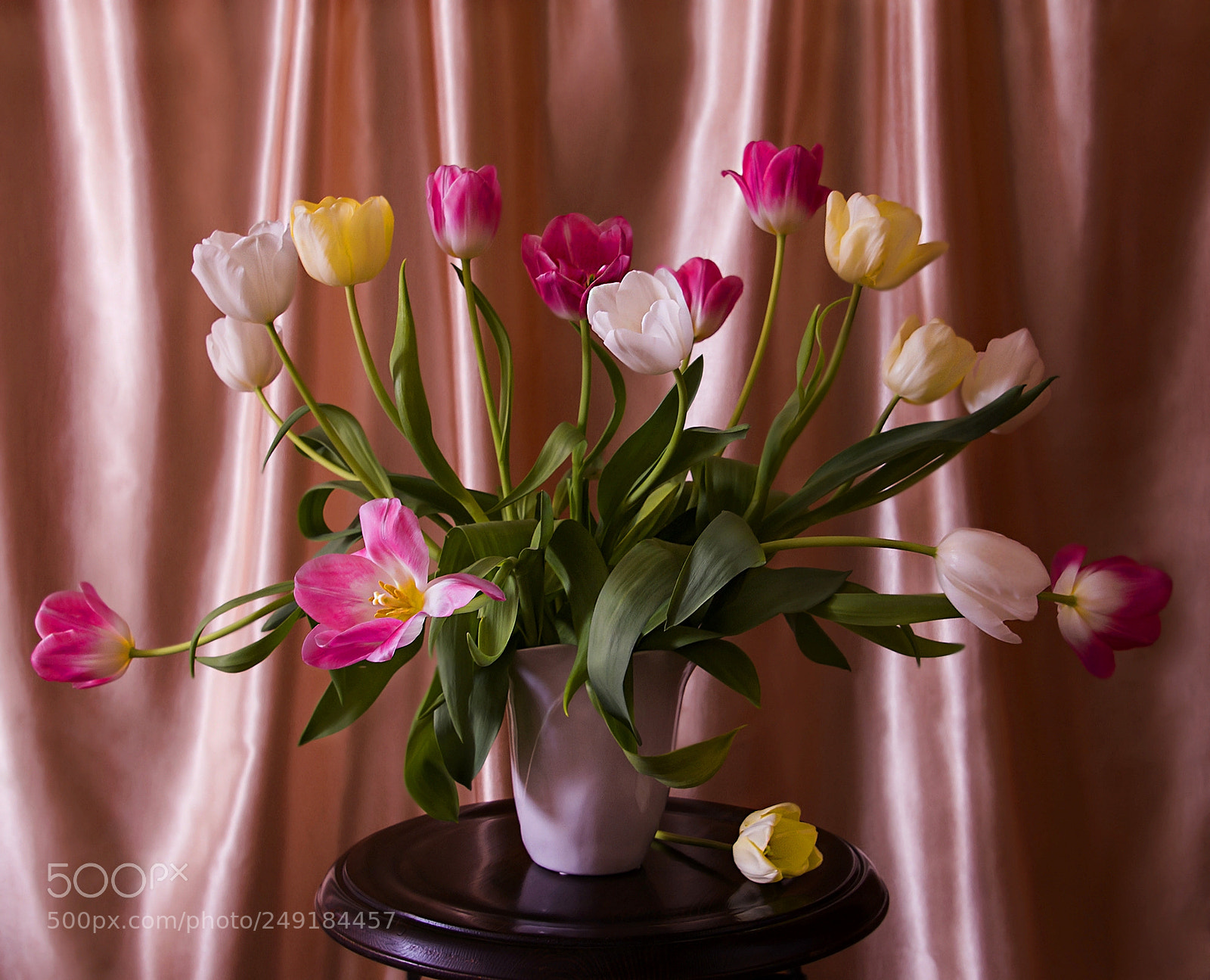 Nikon D7000 sample photo. Нежность тюльпанов. photography