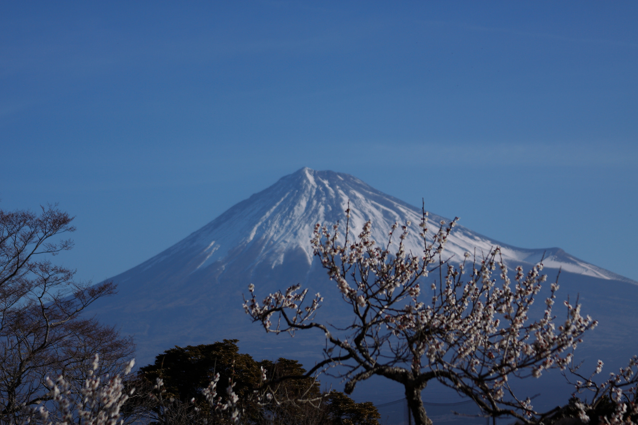 Canon EF 28-135mm F3.5-5.6 IS USM sample photo. Iwamoto mountain park photography