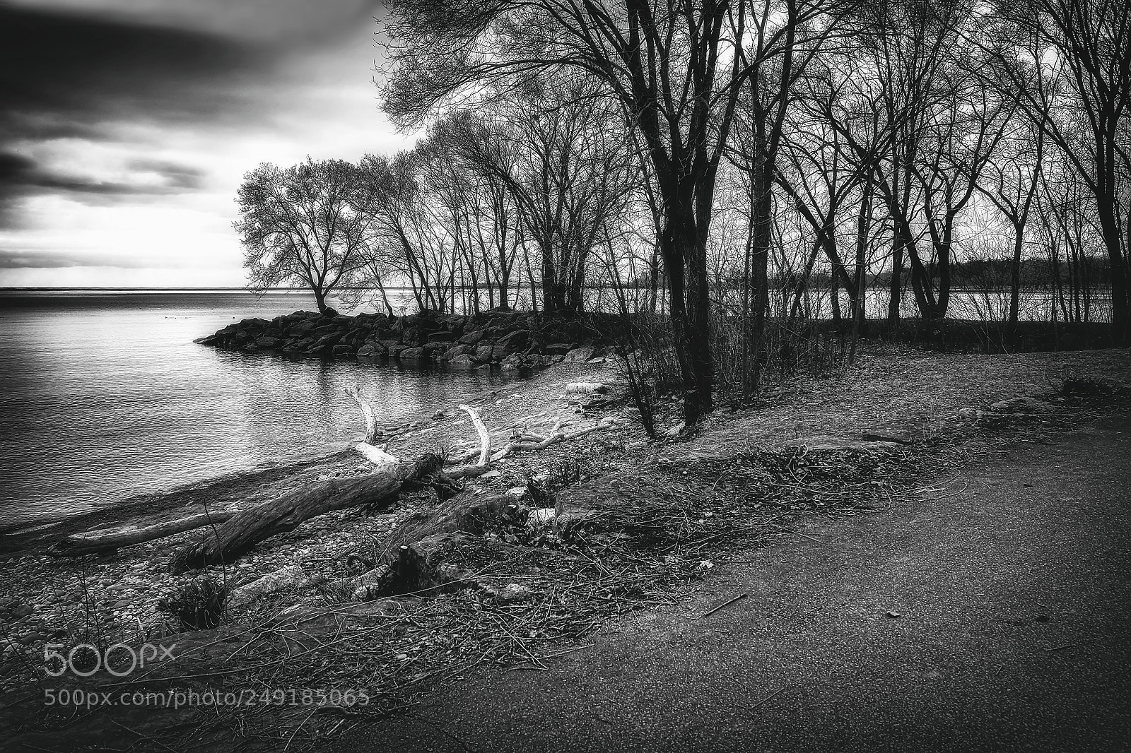 Fujifilm X-E2 sample photo. Lakeview park photography