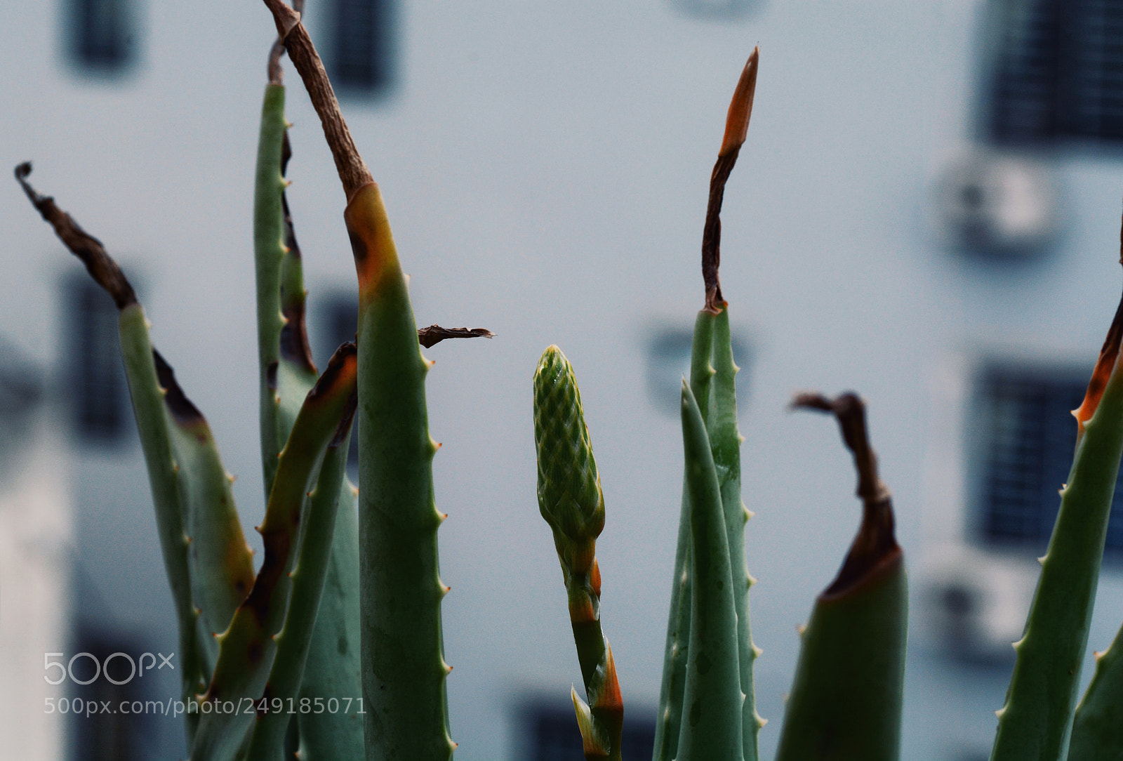 Nikon D7100 sample photo. Untitled photography