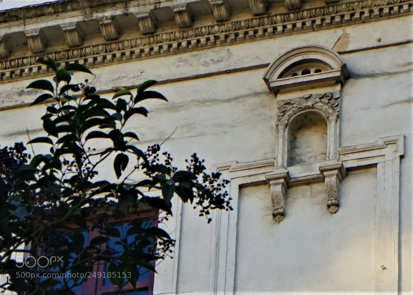 Sony a7 sample photo. Zerafet ve incelik photography