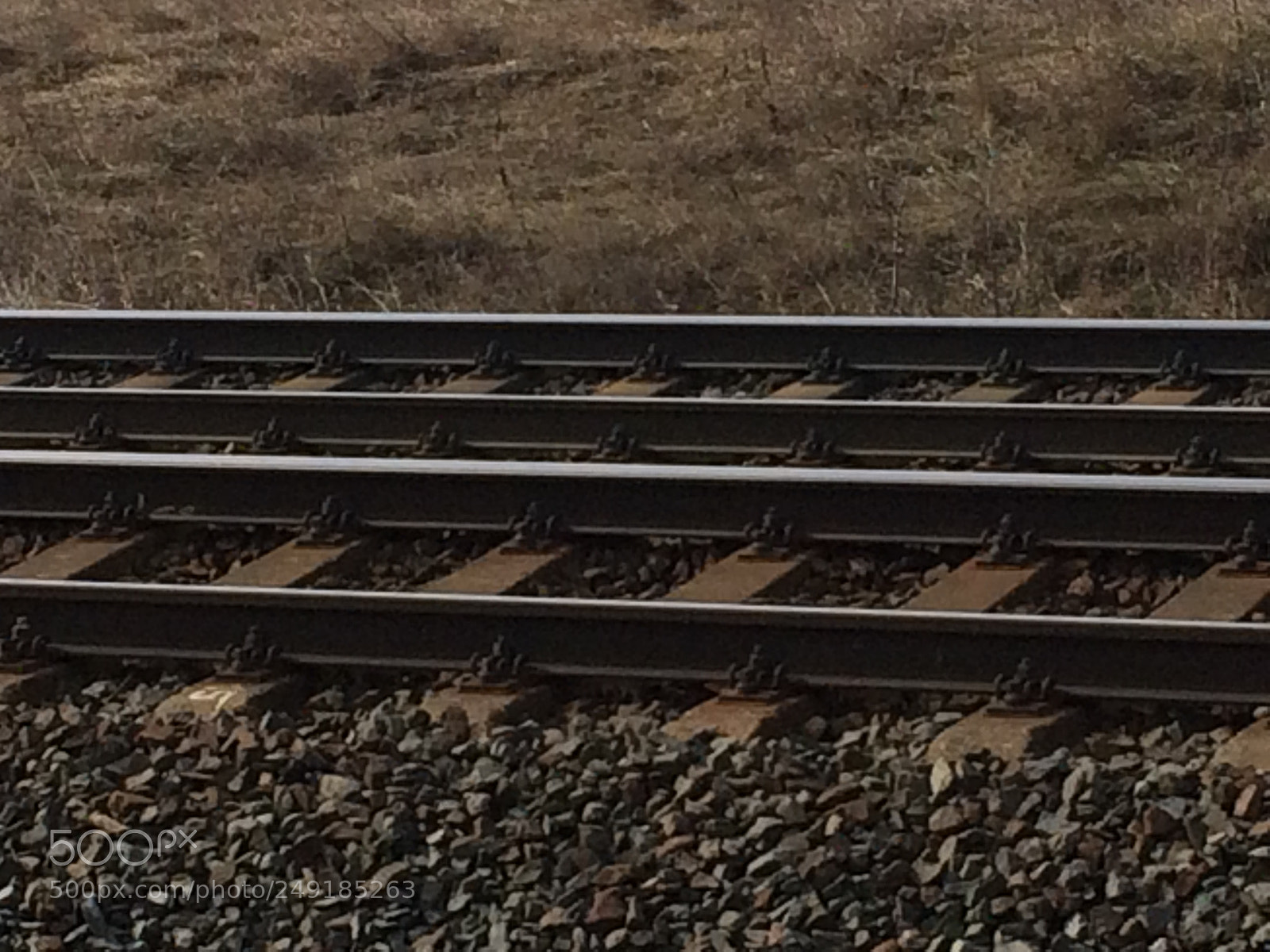 Apple iPhone 5s sample photo. Untitled photography