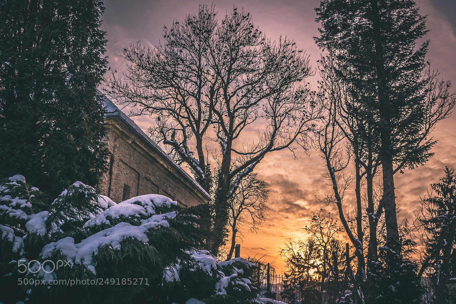 Nikon D7100 sample photo. Winter sunset photography