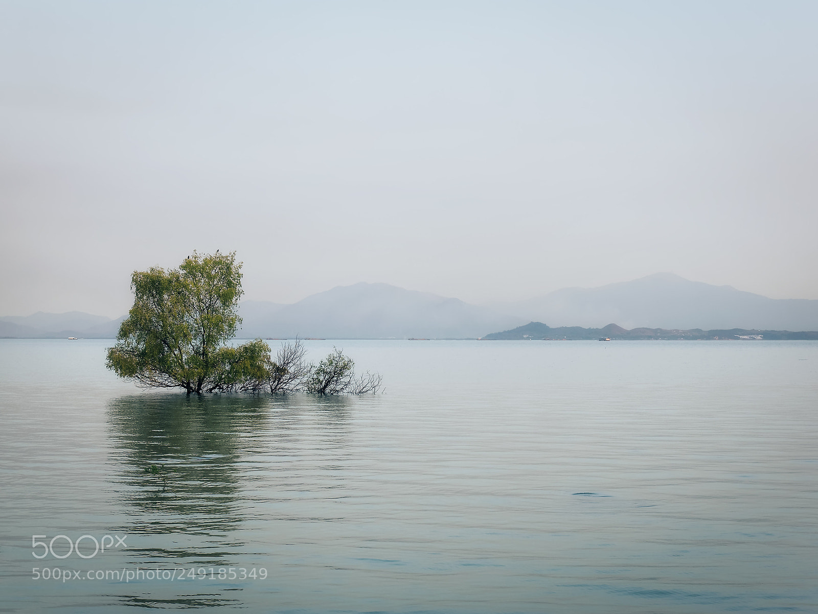 Panasonic Lumix DMC-GX85 (Lumix DMC-GX80 / Lumix DMC-GX7 Mark II) sample photo. Untitled photography