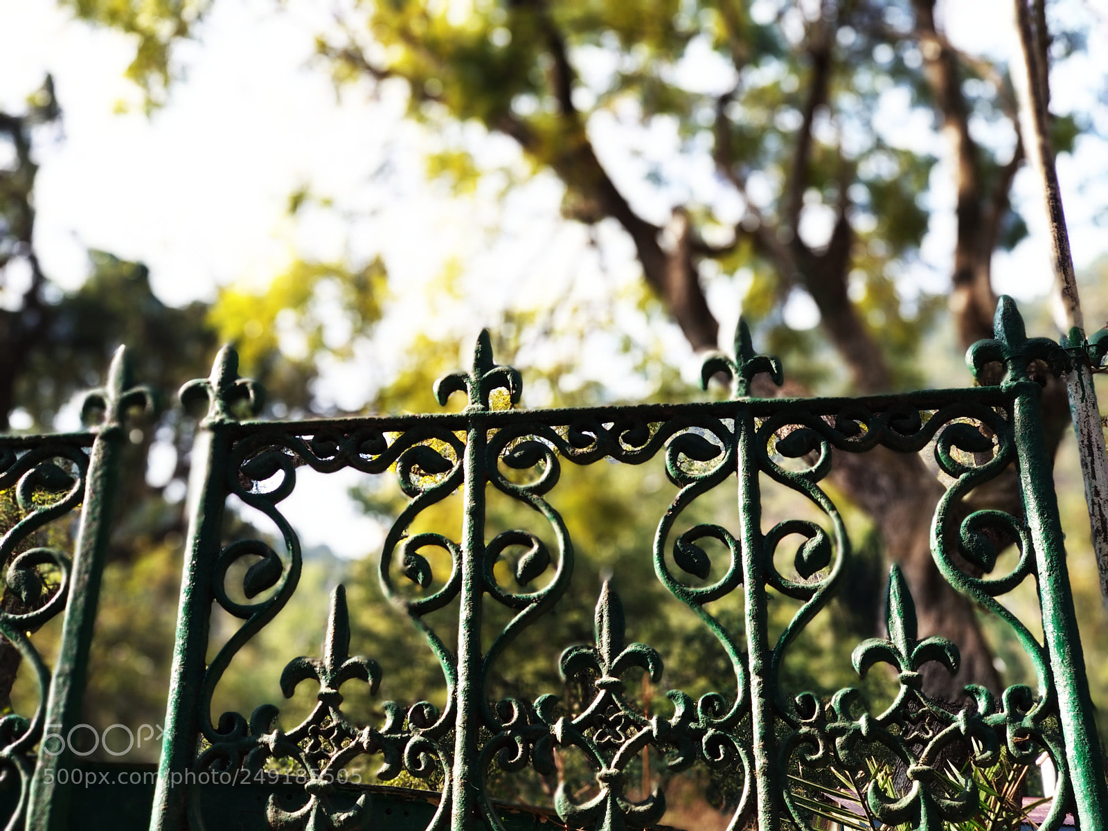 Xiaomi Mi A1 sample photo. Untitled photography