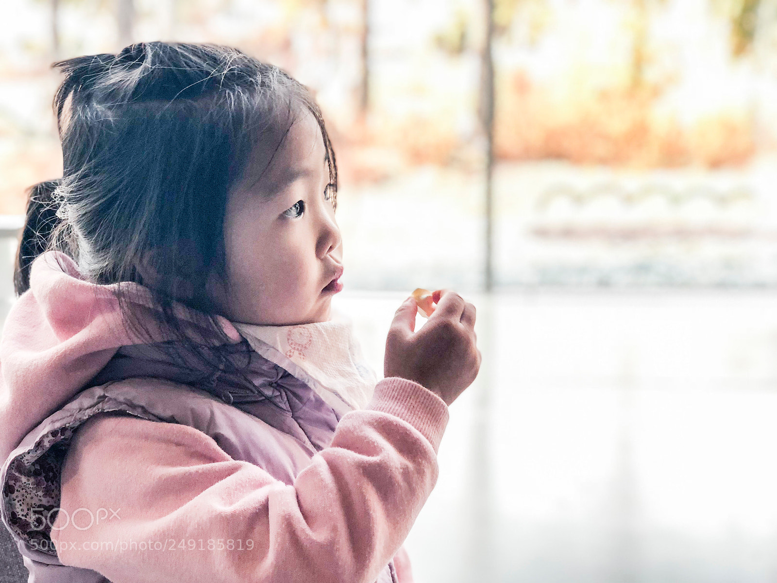 Apple iPhone X sample photo. In hwaseong temporary palace photography