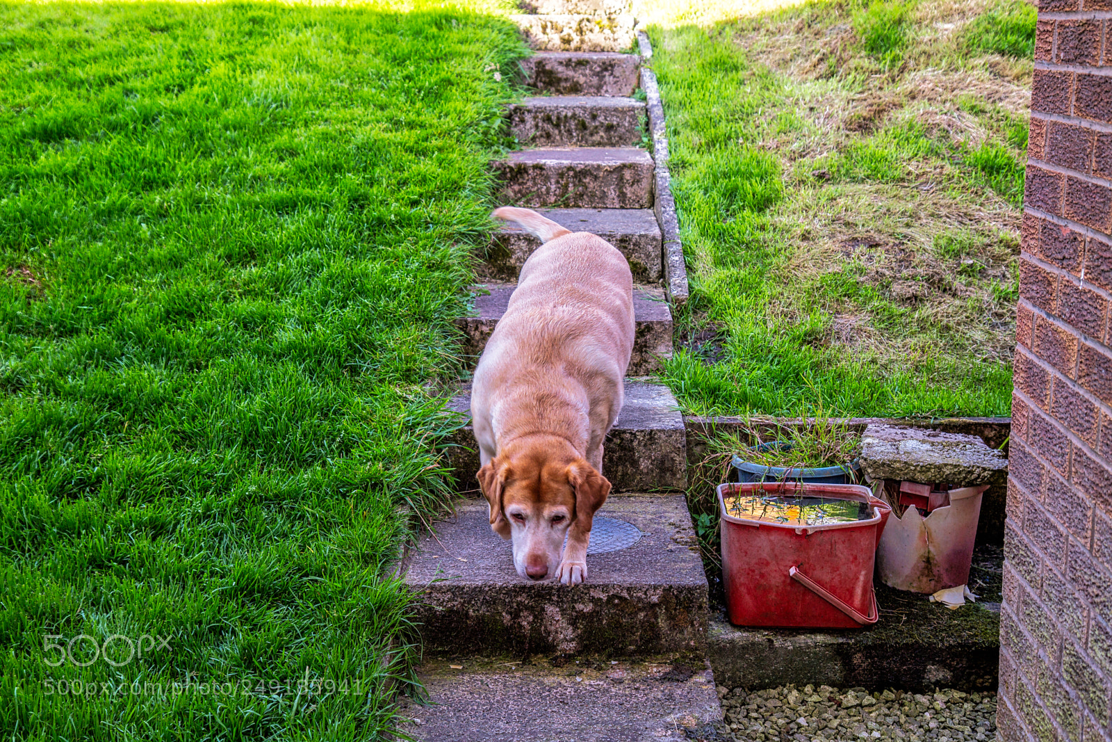 Canon EOS 7D sample photo. Pal strolling photography