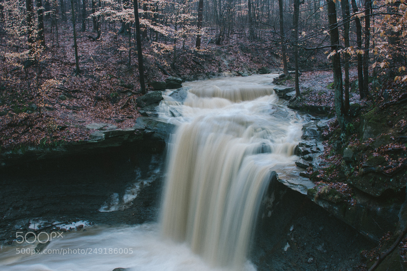 Nikon D7200 sample photo. Blue hen falls photography