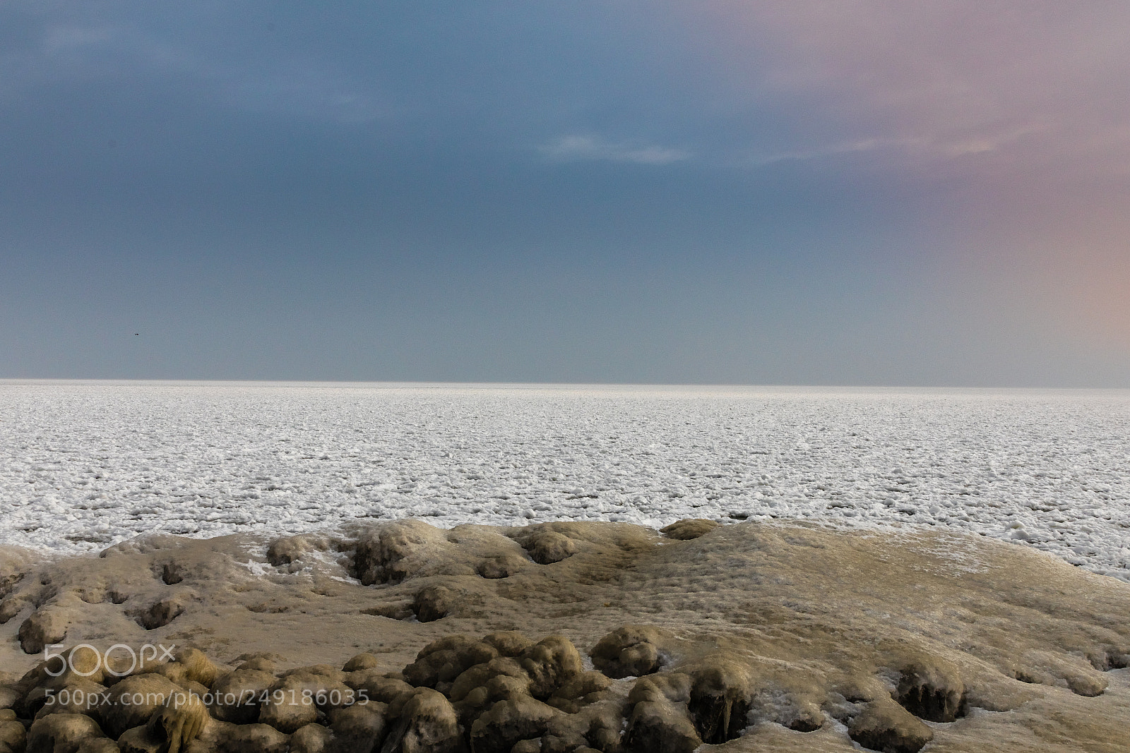 Canon EOS 5D Mark IV sample photo. Winter in holland photography
