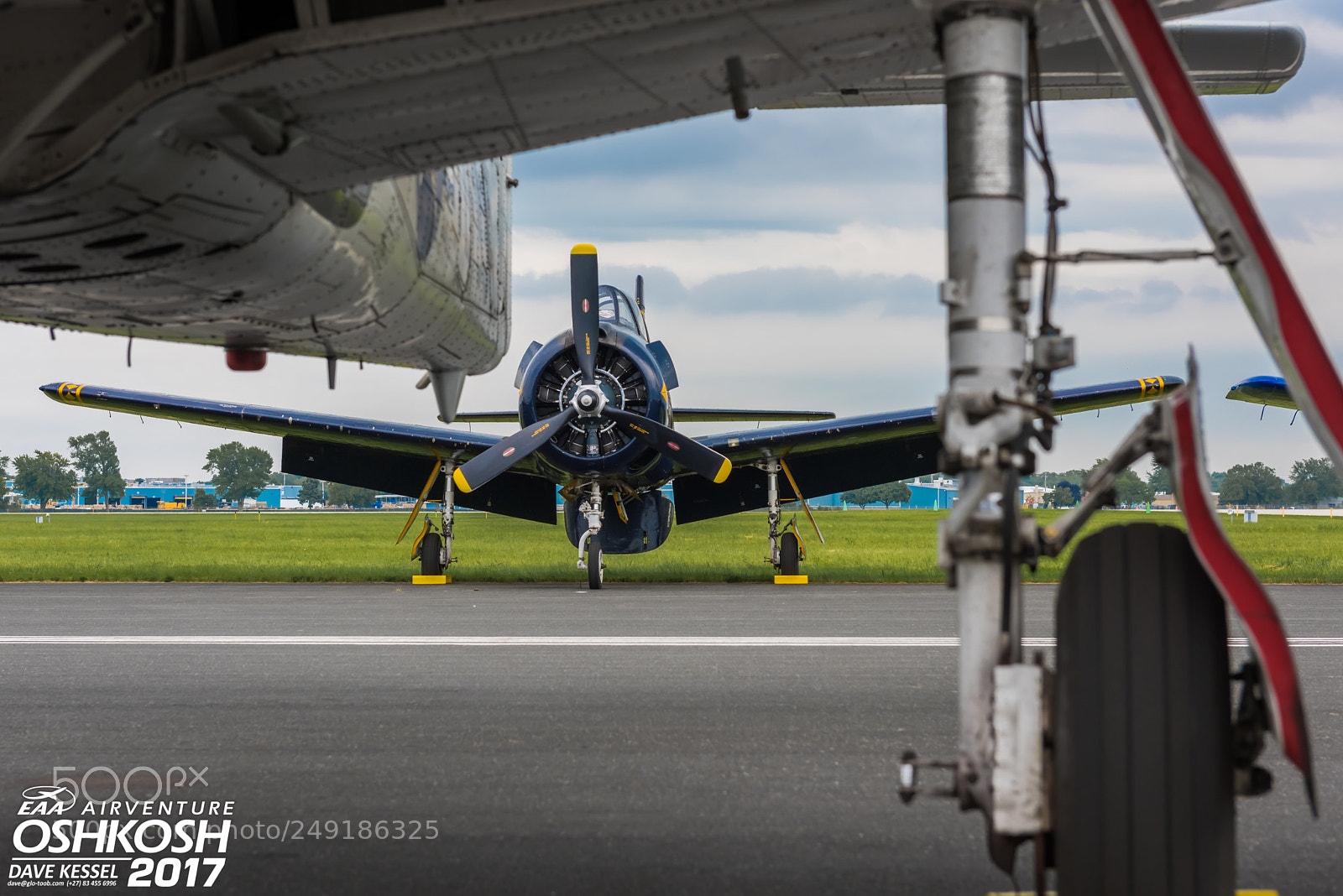 Nikon D810 sample photo. T-28 trojan photography