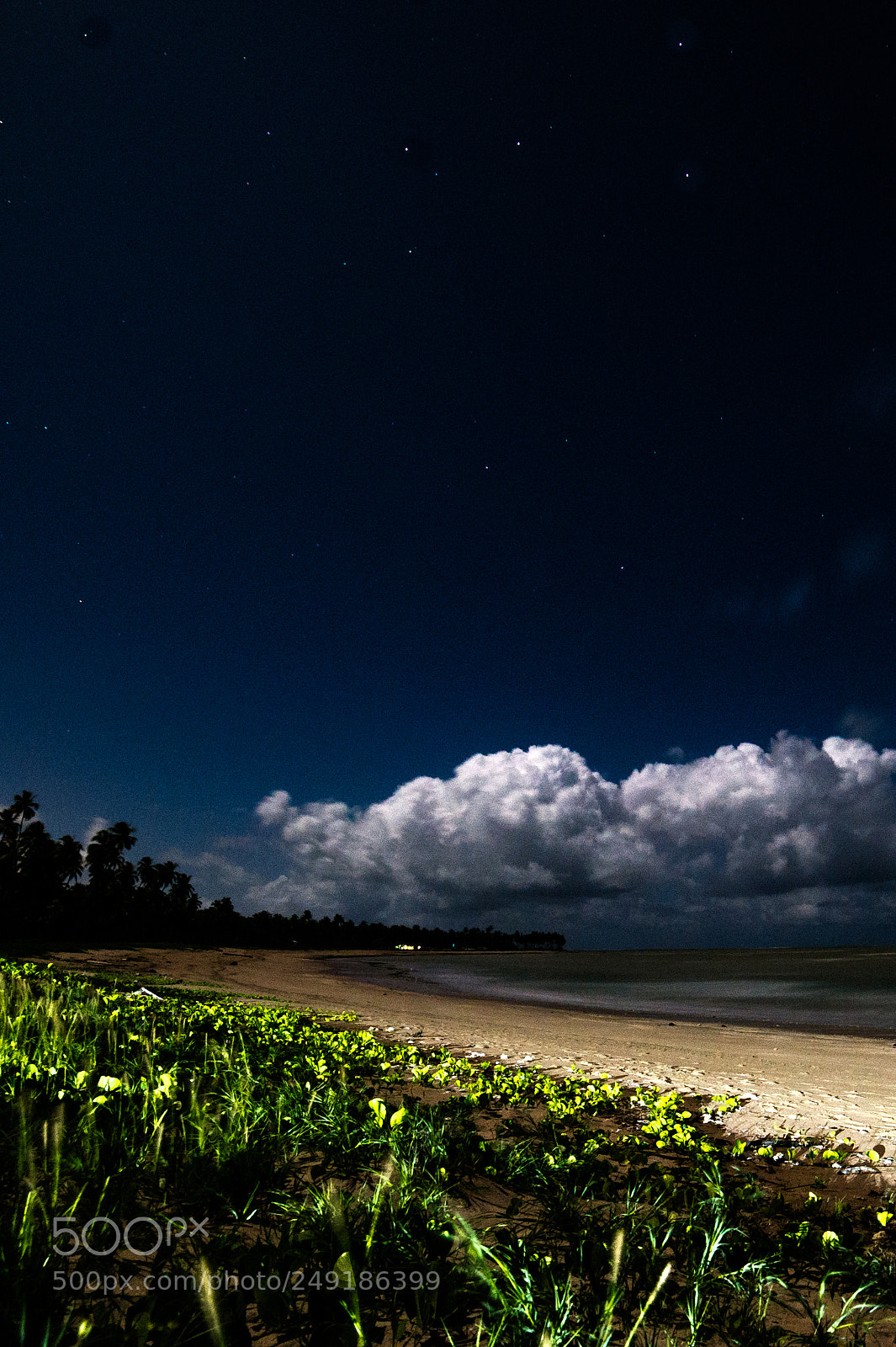 Nikon D3S sample photo. Starry night photography