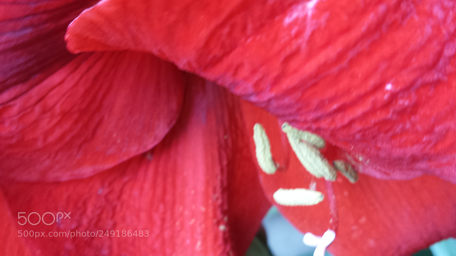 Samsung Galaxy S4 sample photo. Untitled photography