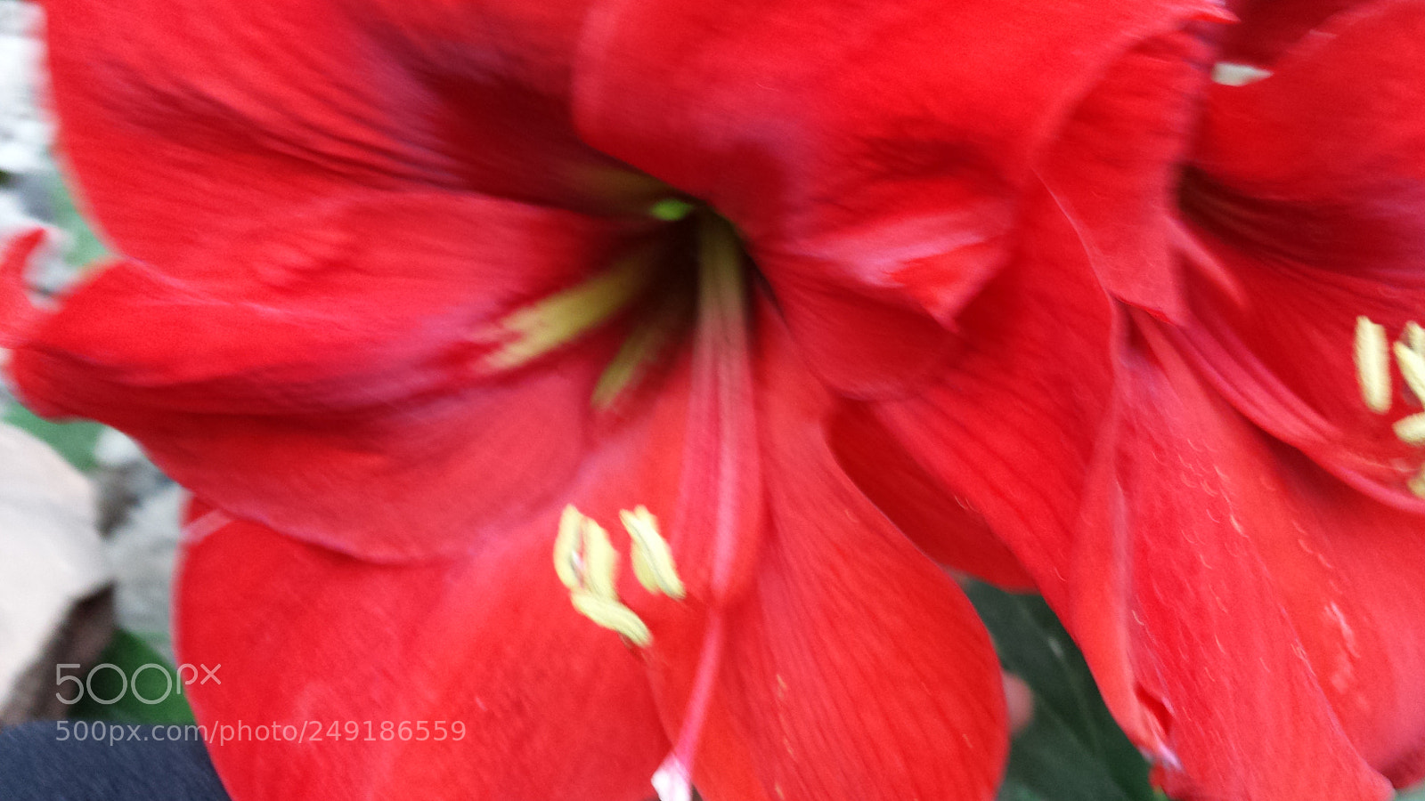 Samsung Galaxy S4 sample photo. Untitled photography