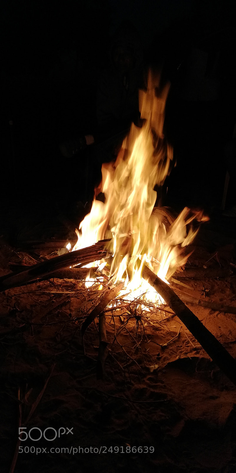 HUAWEI nova 2i sample photo. Untitled photography