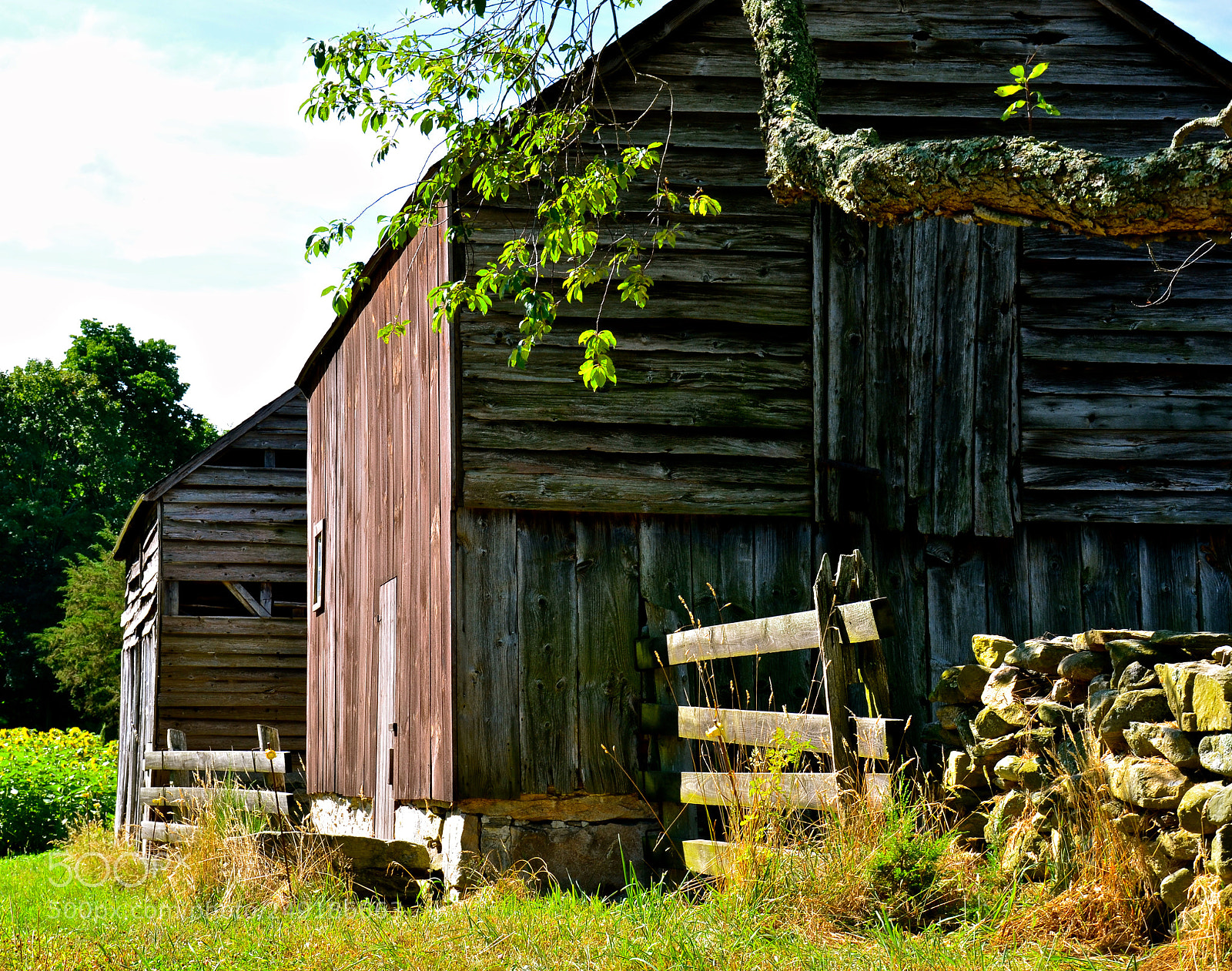 Nikon D7000 sample photo. Old barn photography