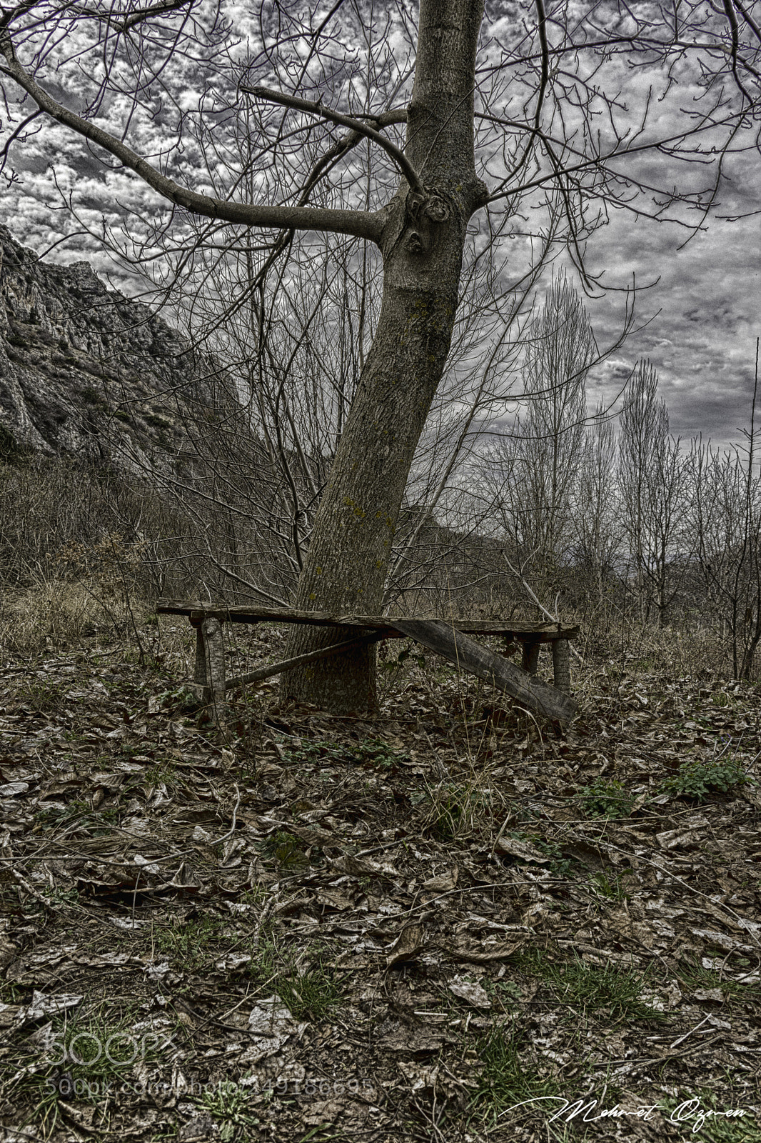 Nikon D7200 sample photo. 'doga'dan photography
