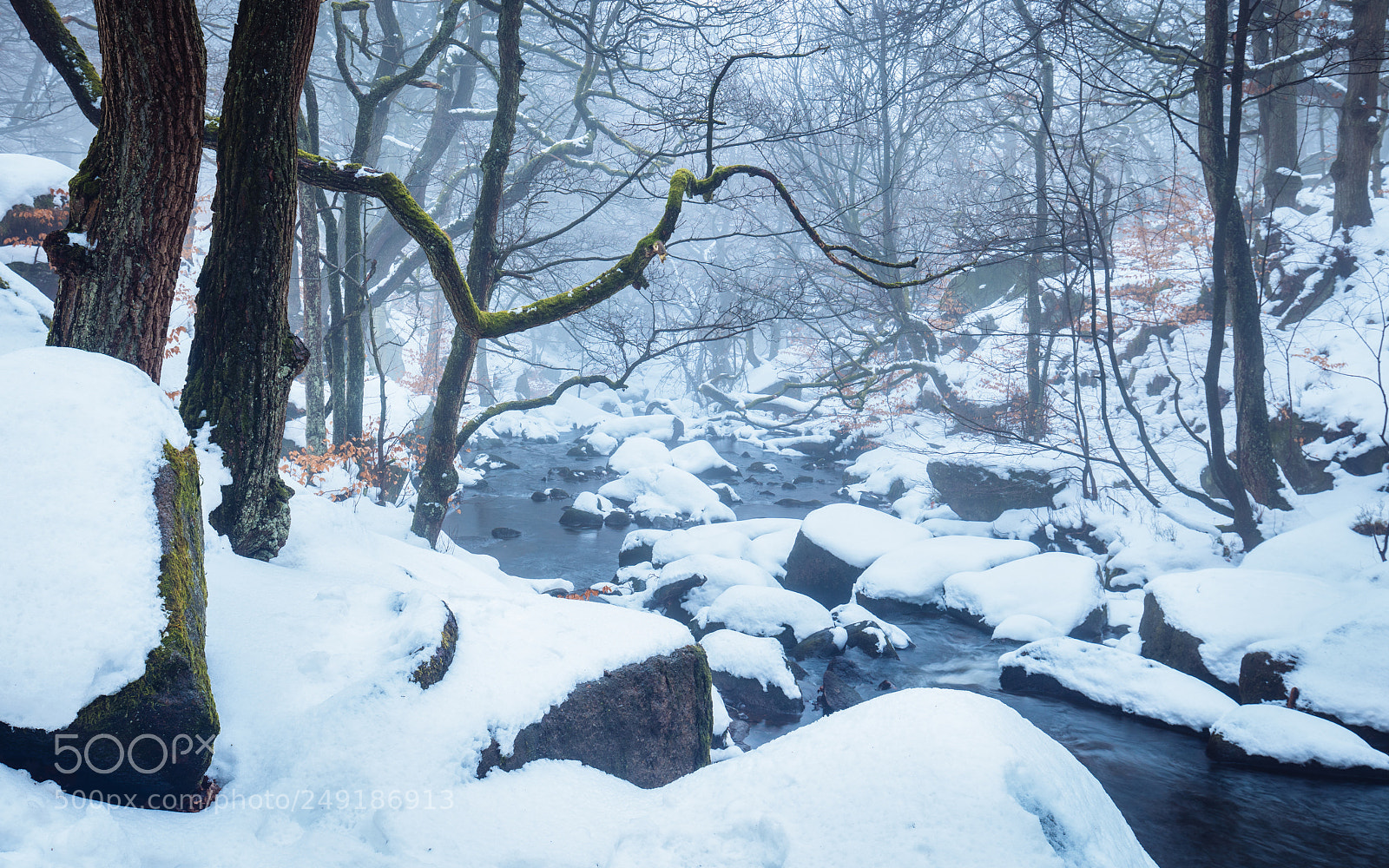 Canon EOS 5DS R sample photo. Winter's tale photography