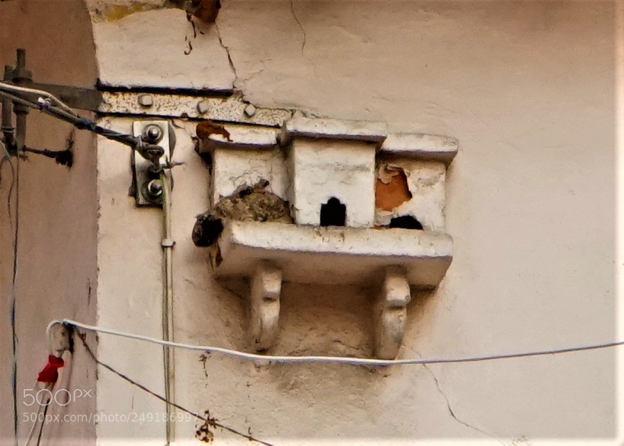 Sony a7 sample photo. Yasam degerlerimiz photography