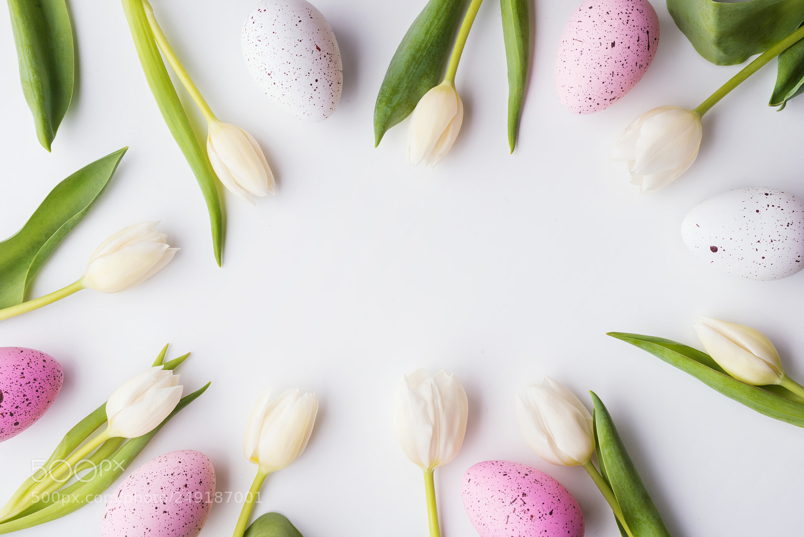 Nikon D800 sample photo. Easter and spring flat photography
