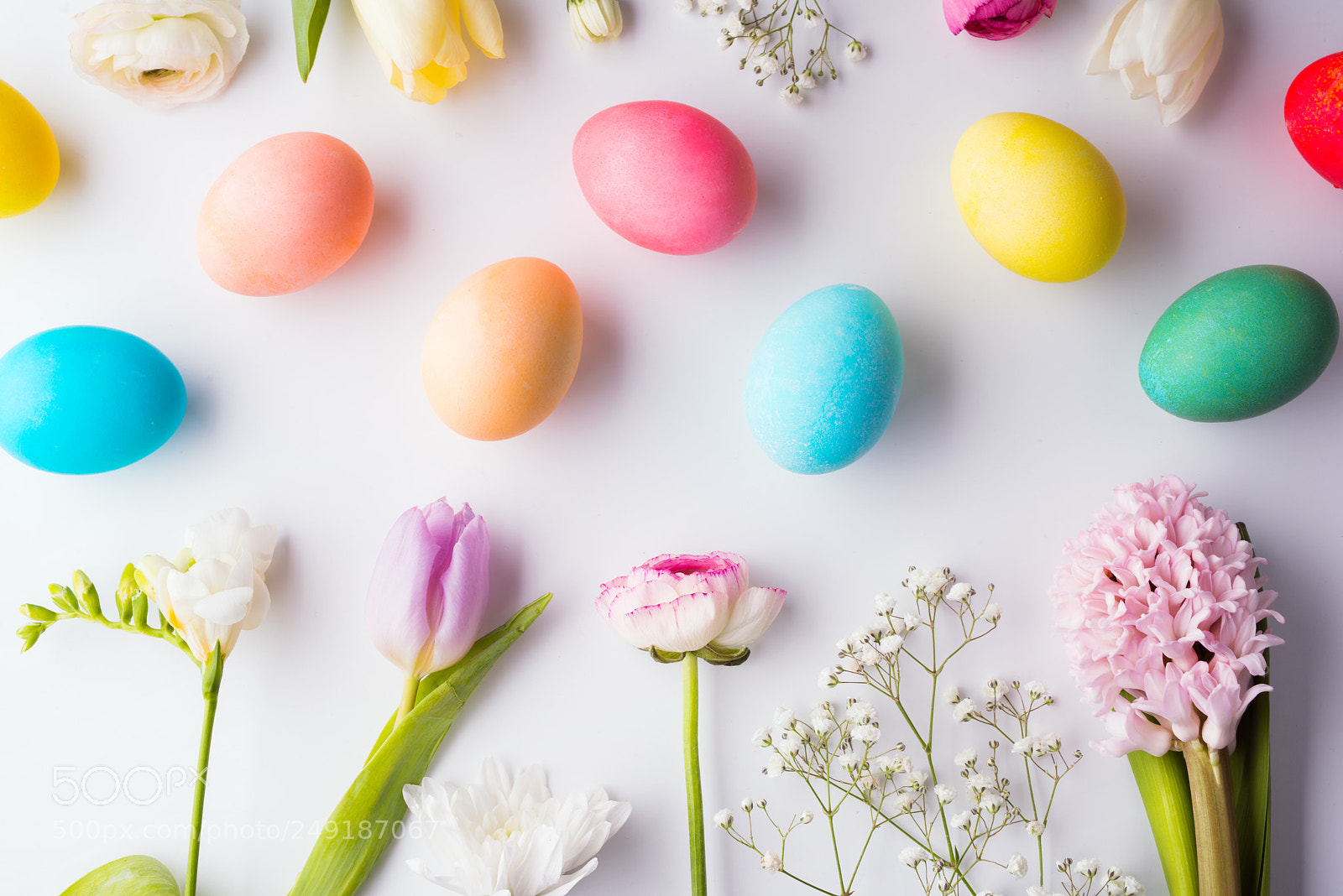 Nikon D800 sample photo. Easter and spring flat photography