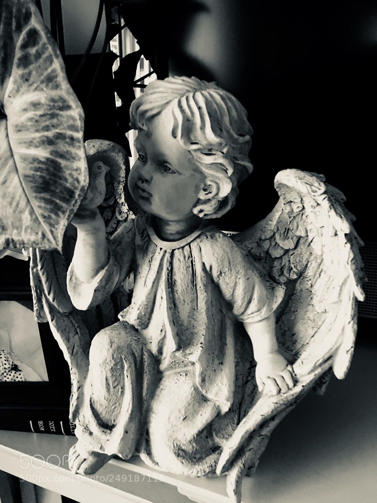 Apple iPhone 6s Plus sample photo. Little angel photography