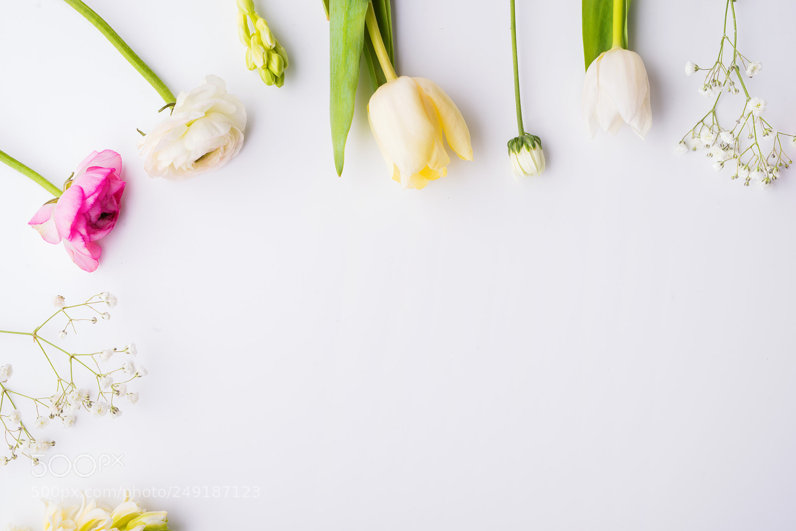 Nikon D800 sample photo. Easter and spring flat photography