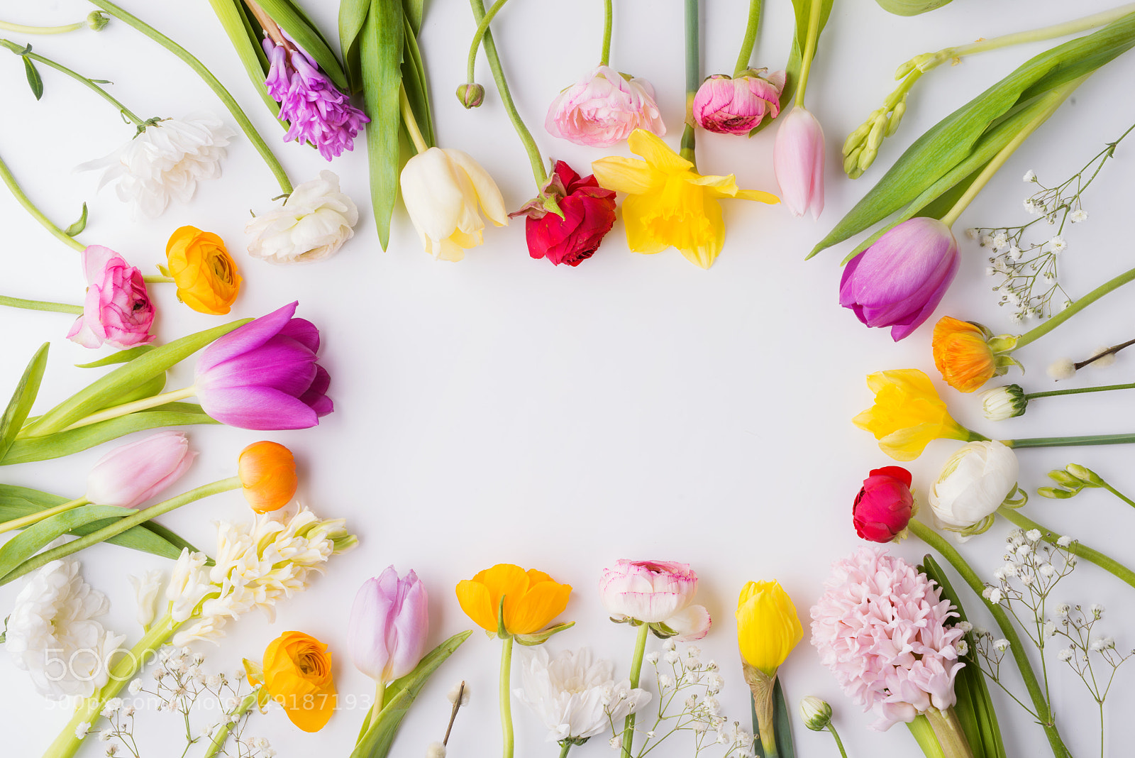 Nikon D800 sample photo. Easter and spring flat photography